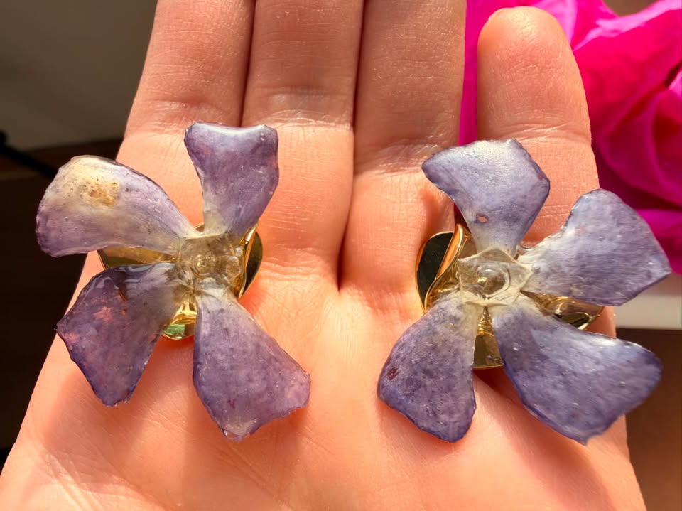 Aros Vincapervinca 1