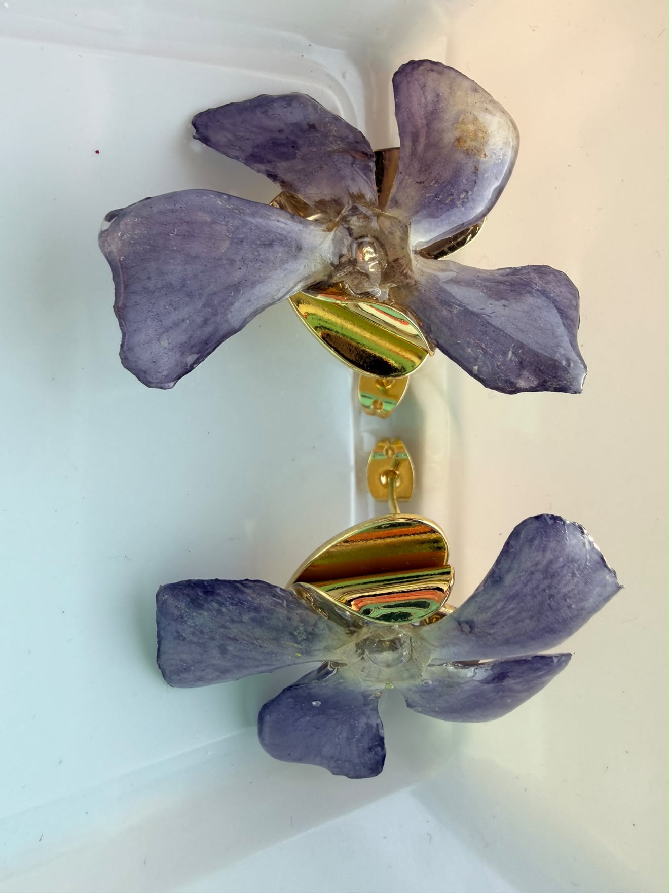 Aros Vincapervinca 2
